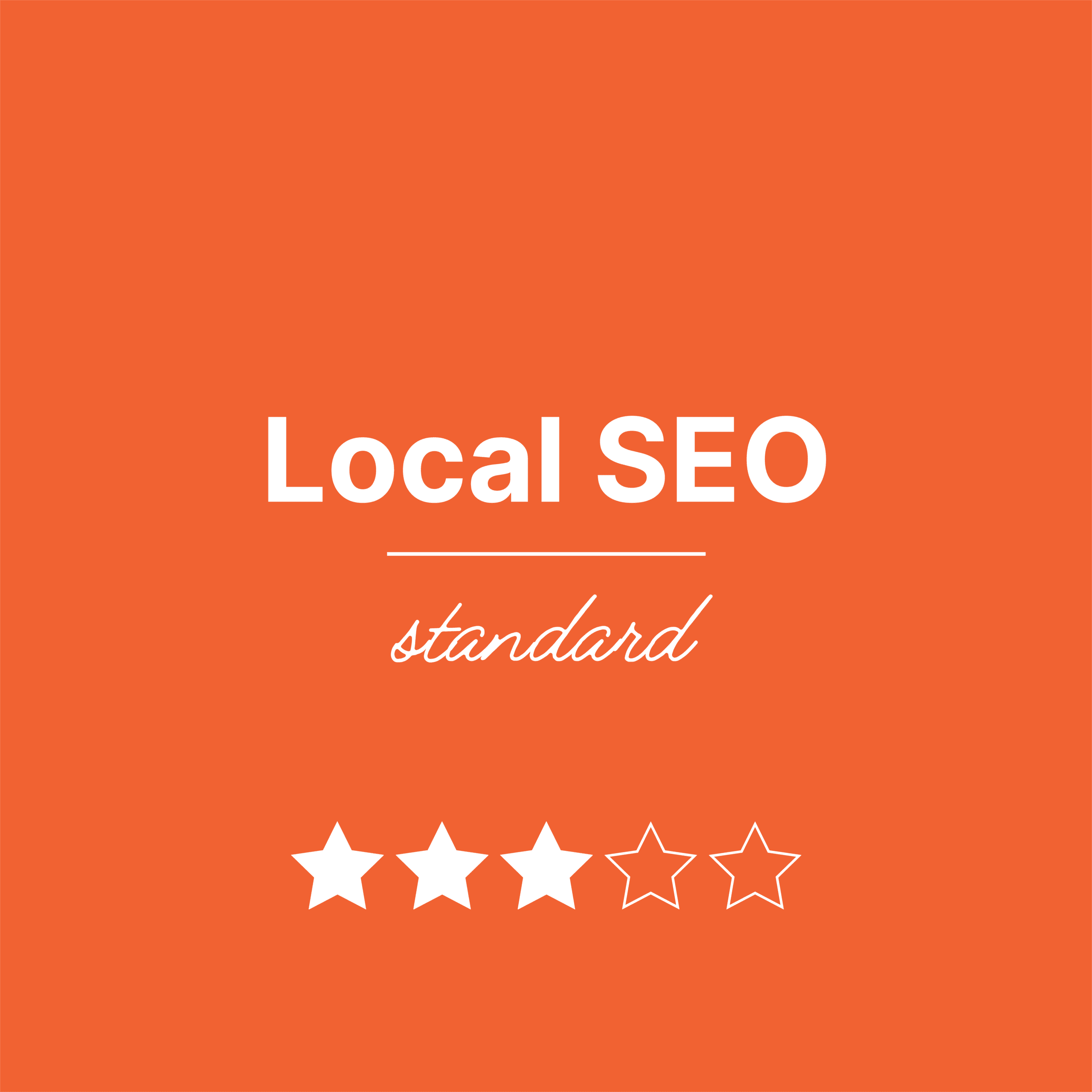Local SEO Packages Standard Product Image